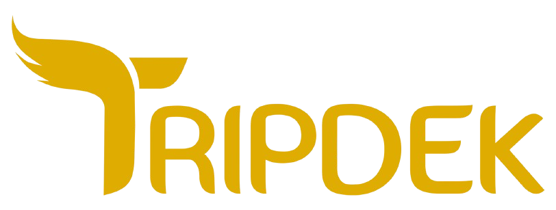 default-logo