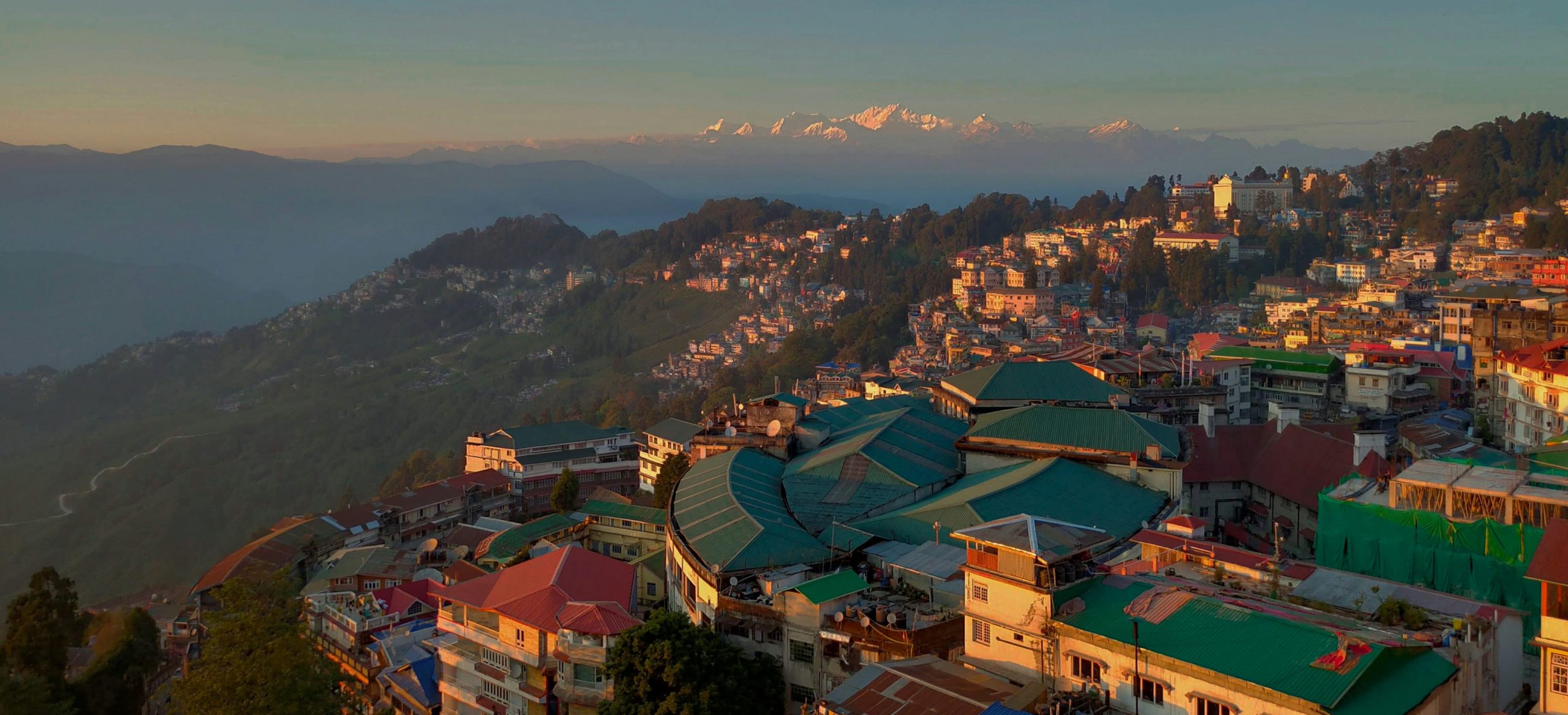 INDIA – NORTHEAST: TEA FIELDS & RHINOS