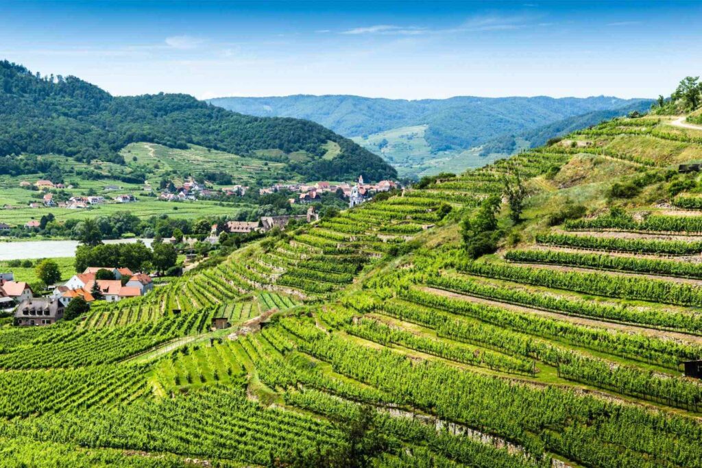 Wachau Valley, Melk Abbey Full Day Guided Trip with Danube Boat Trip